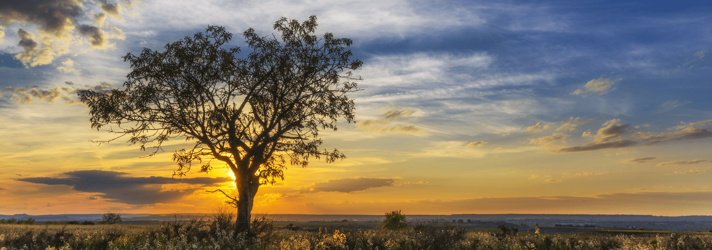 Sérénité du Corps de l'Esprit 
Vivre Mieux avec la Fibromyalgie - Daria Delavoie -Accompagnement avec la Réflexologie Plantaire et la Liberation Emotionnelle à Ruy Montceau-Isère