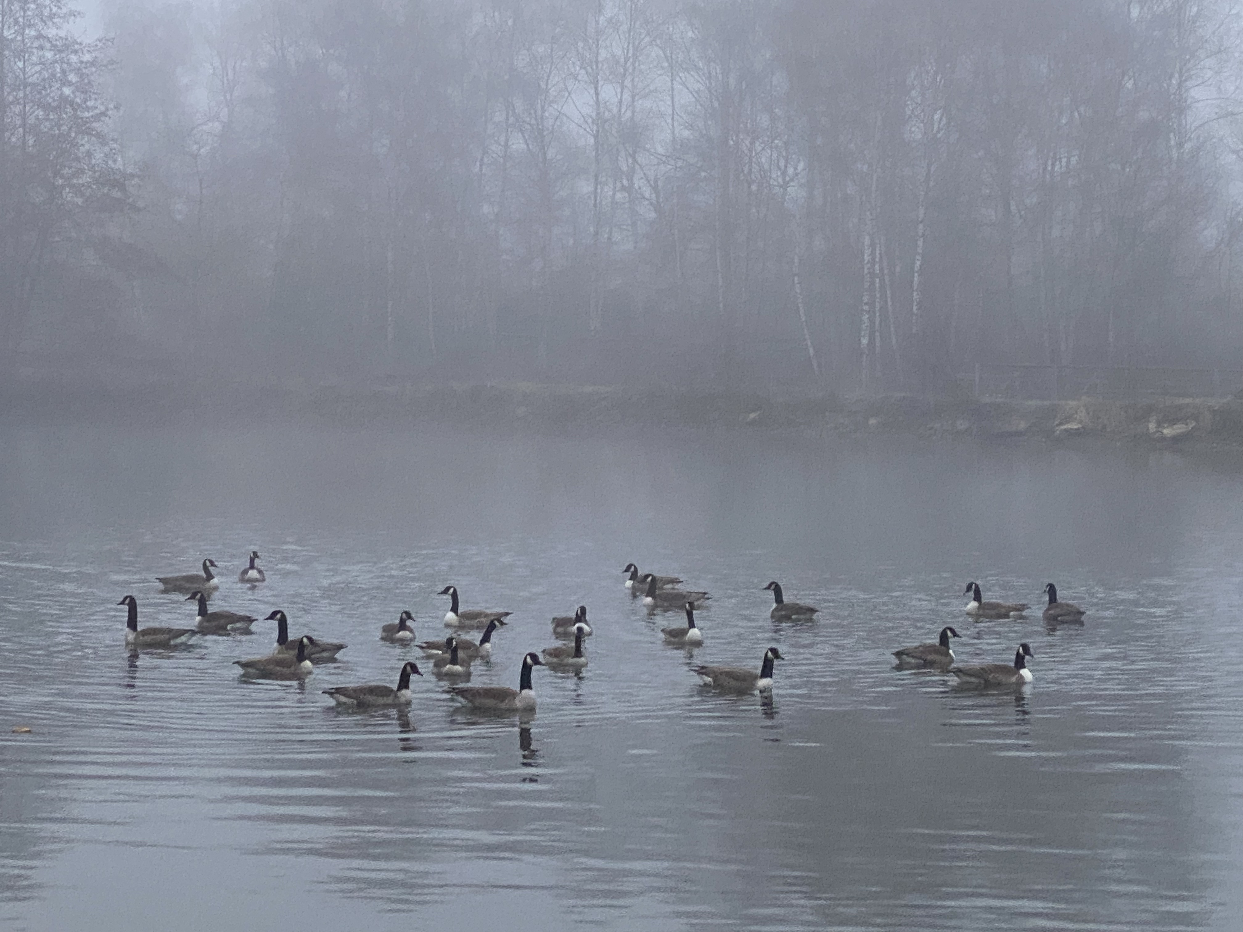 Image00028