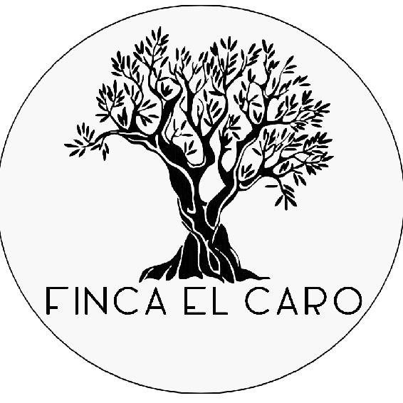 Finca El Caro, oranges, clémentines, citrons bio d'Espagne