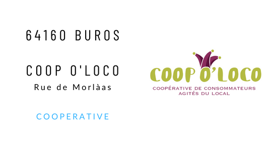 Coop-o-loco-website