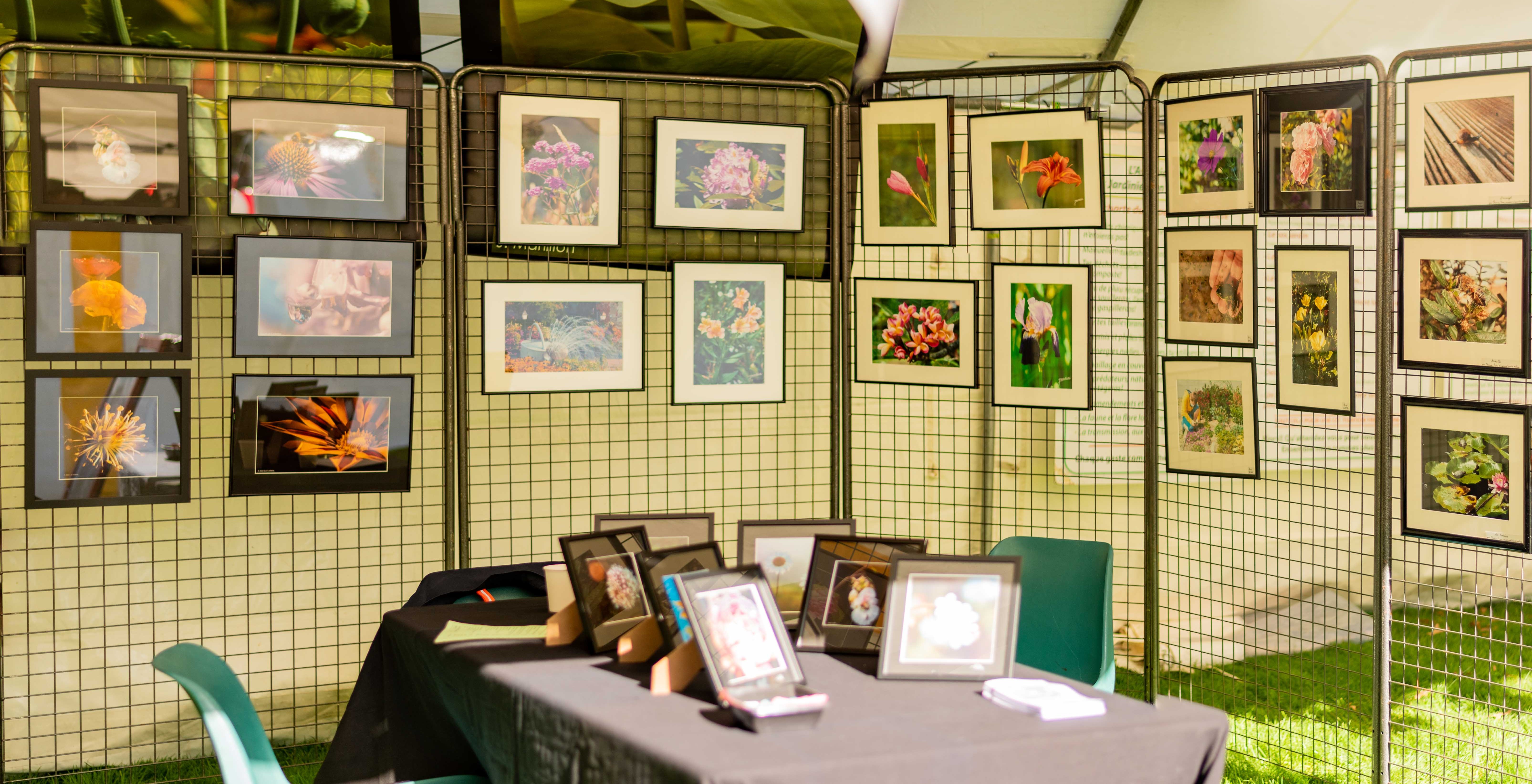 2021-09-11 10-18-49JL2 7678-Panorama