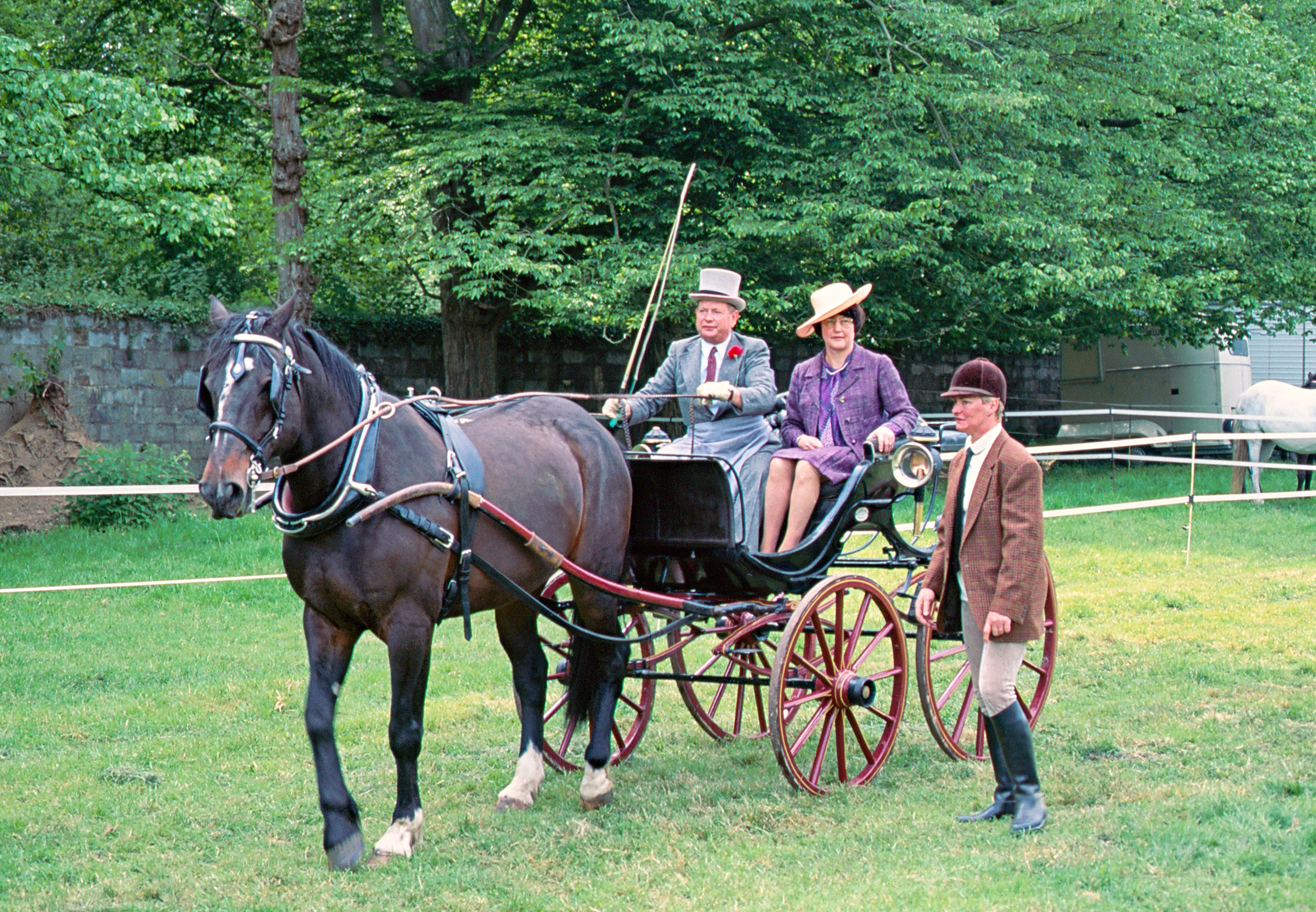 Voiture-4-roues-Bosmelet-Auffay-web-1