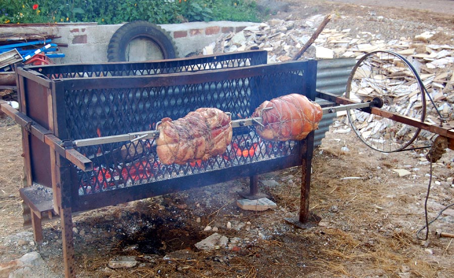 Cochon-1