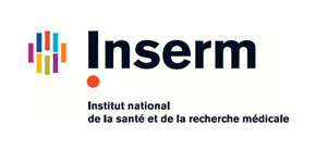 Logo inserm
