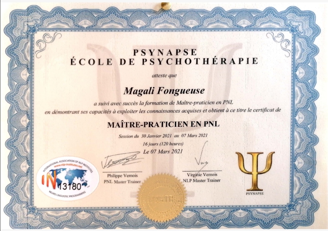 Diplome mp pnl