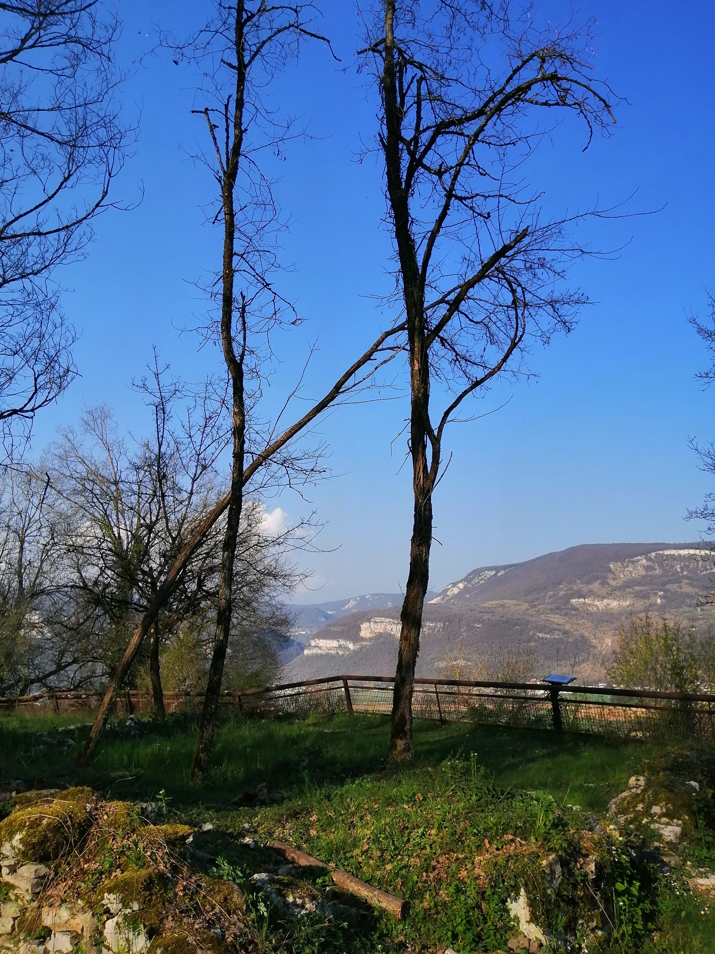 Img 20220325 165130