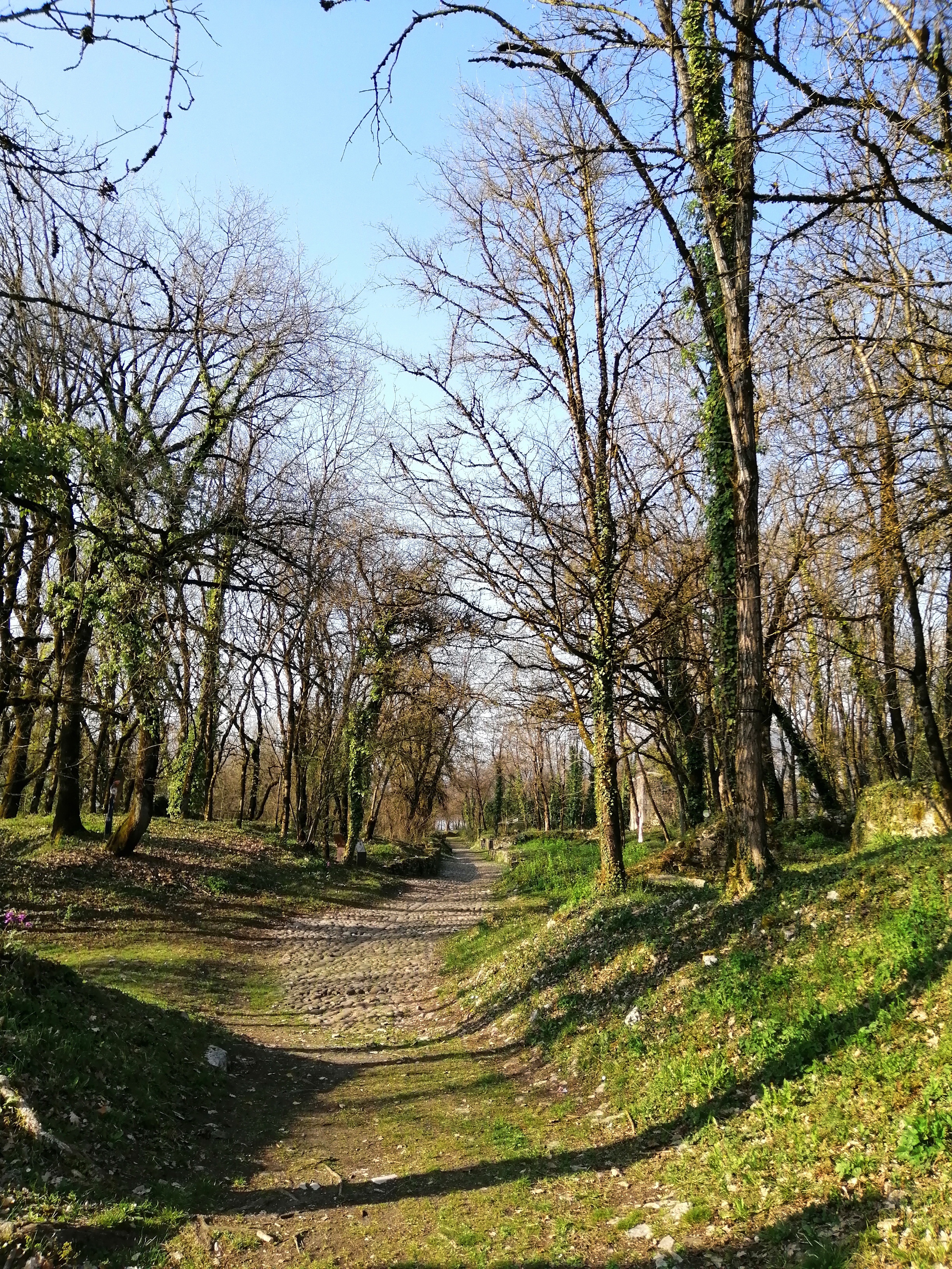 Img 20220325 165025