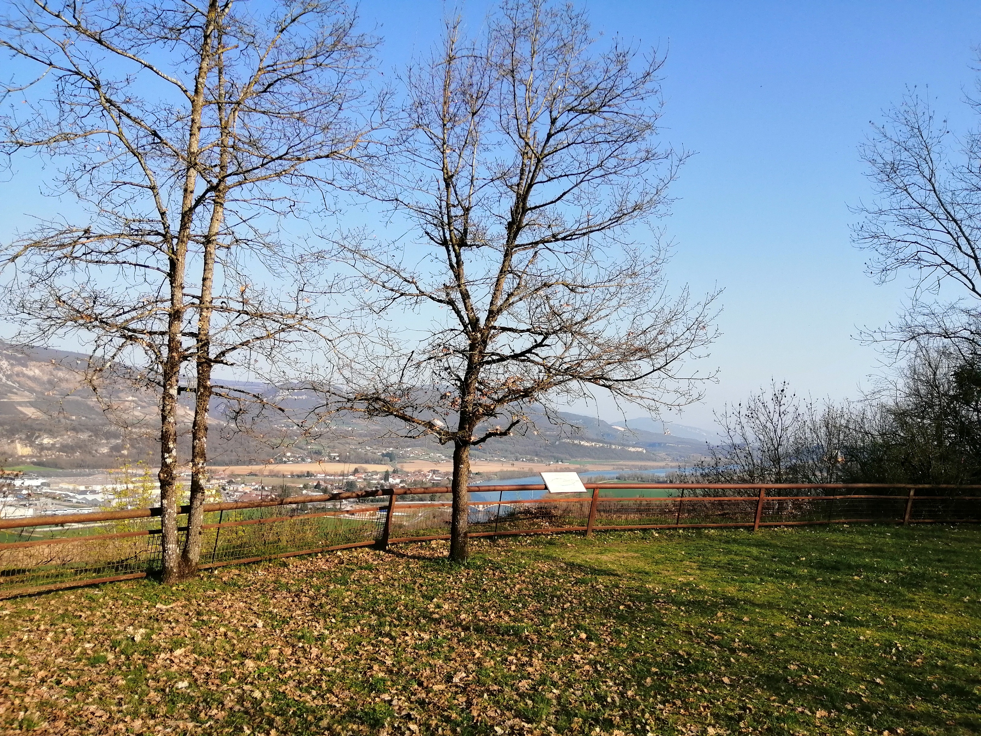 Img 20220325 164844