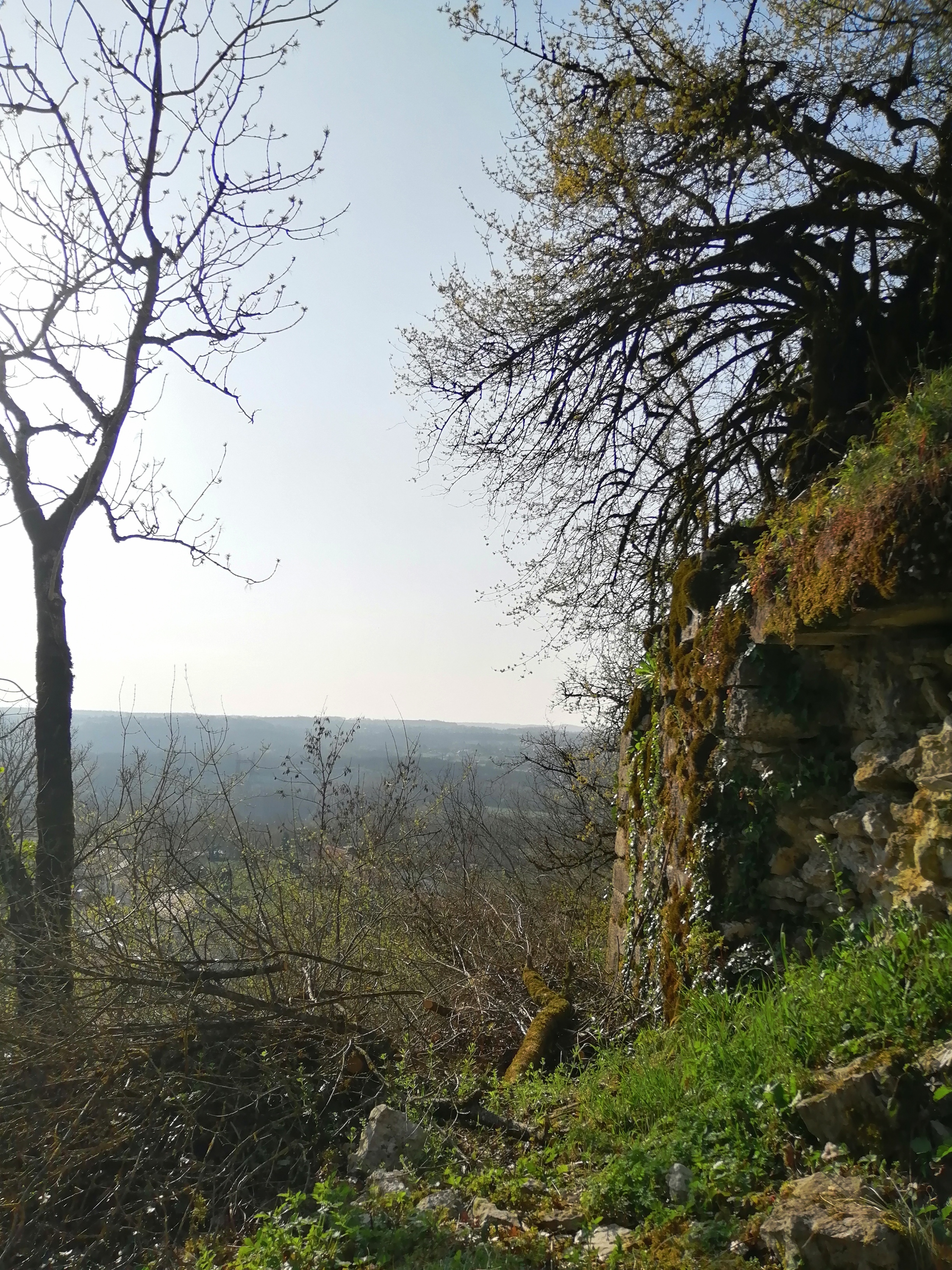 Img 20220325 164412