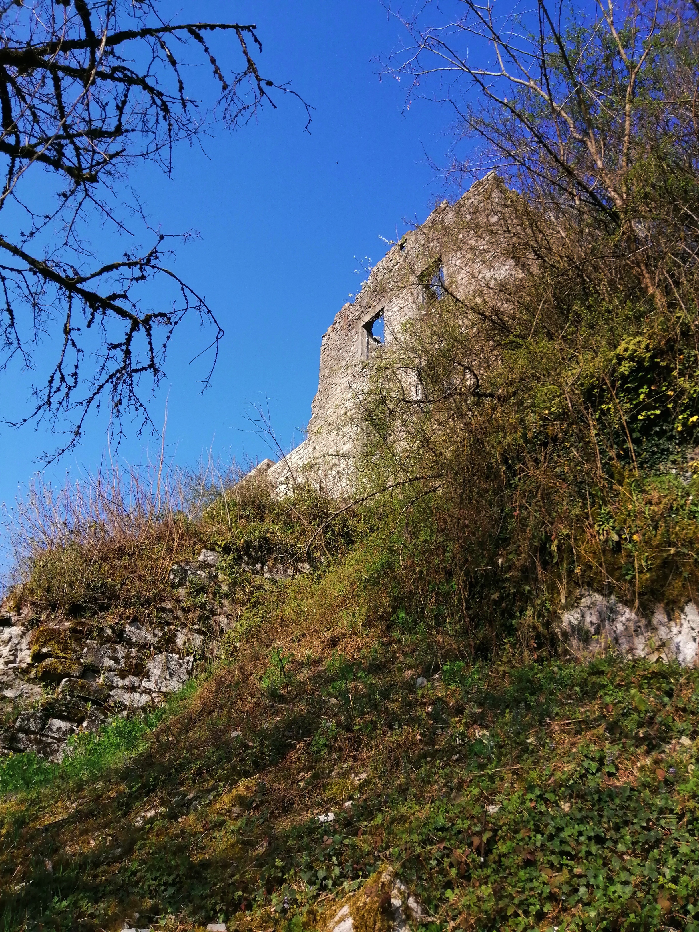 Img 20220325 164334
