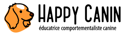 Logo ai