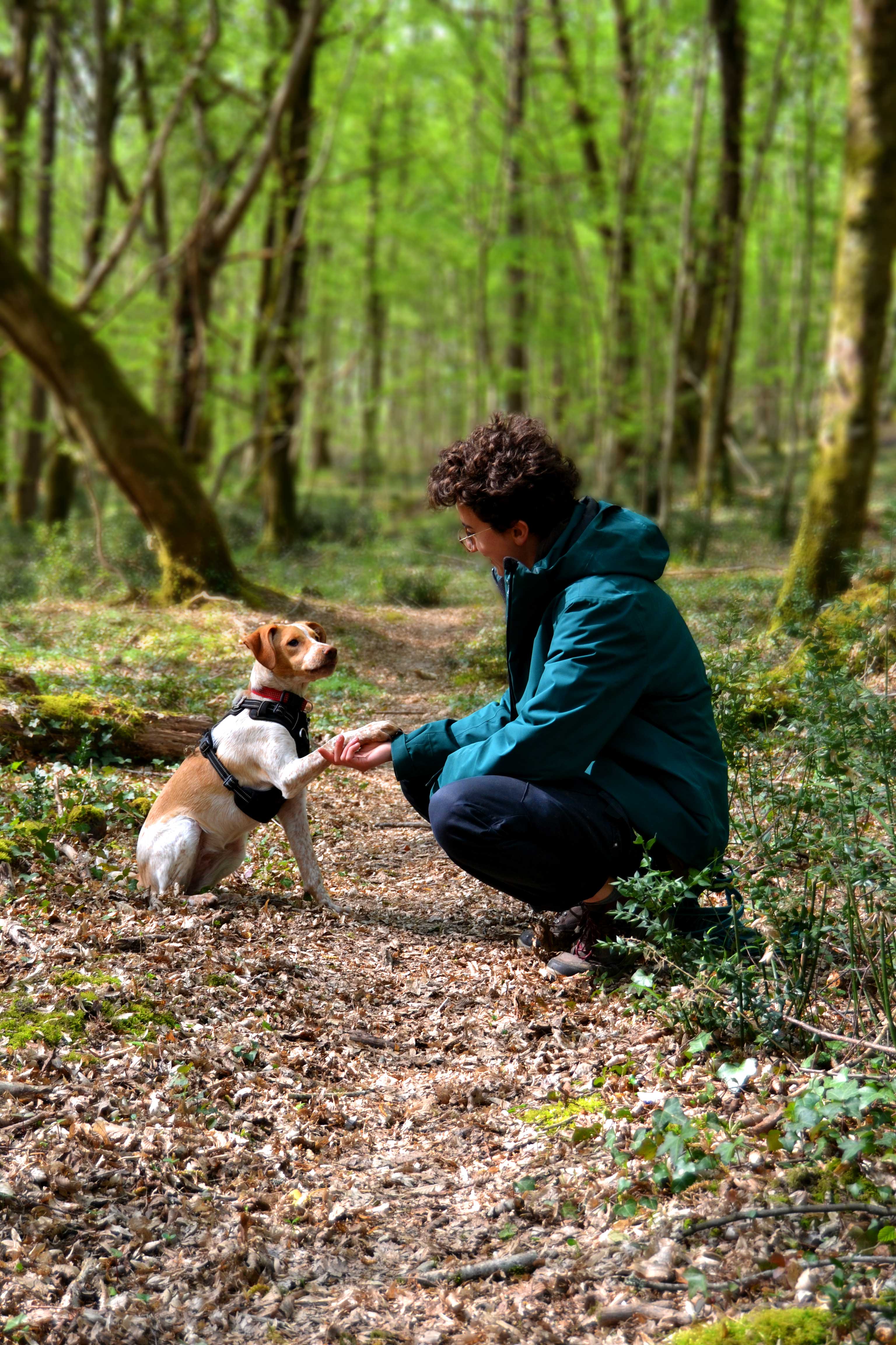 Elise Chevrier et Mochi, Happy Canin