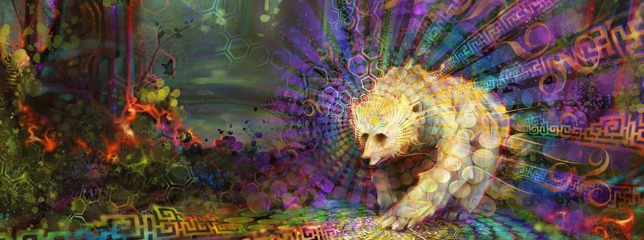 Chaman-grand-ours-shaman-guerisseur-chamanisme-soin-consultation-stage-formation-macon