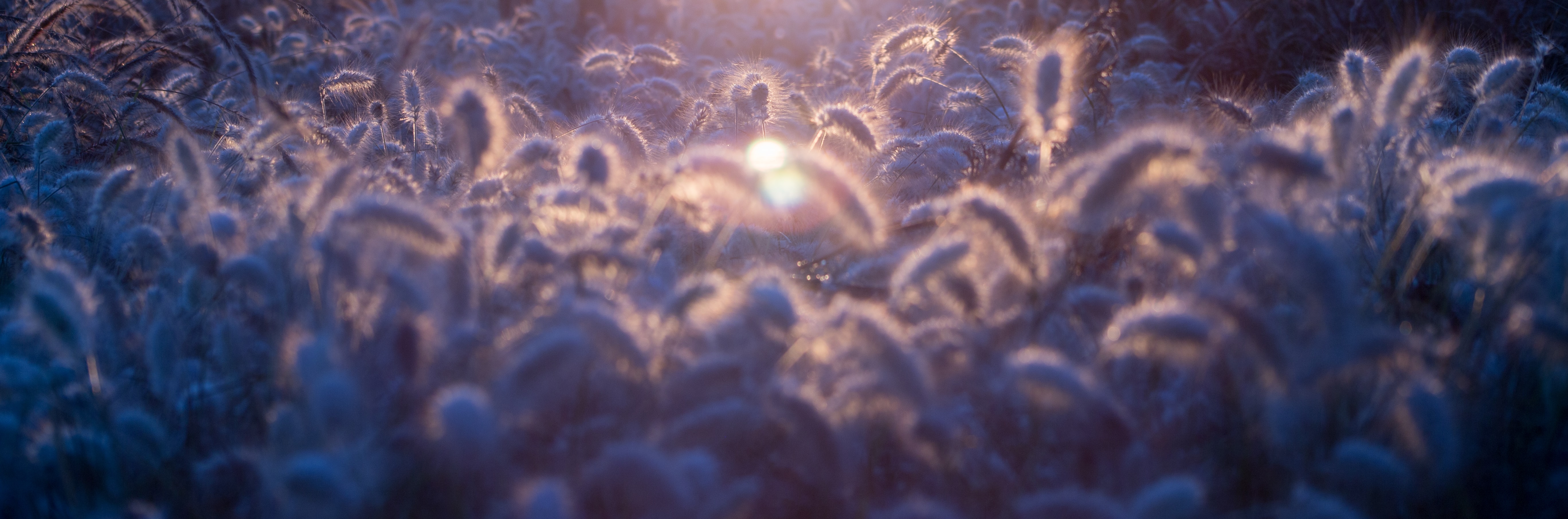Photo by karim manjra on unsplash