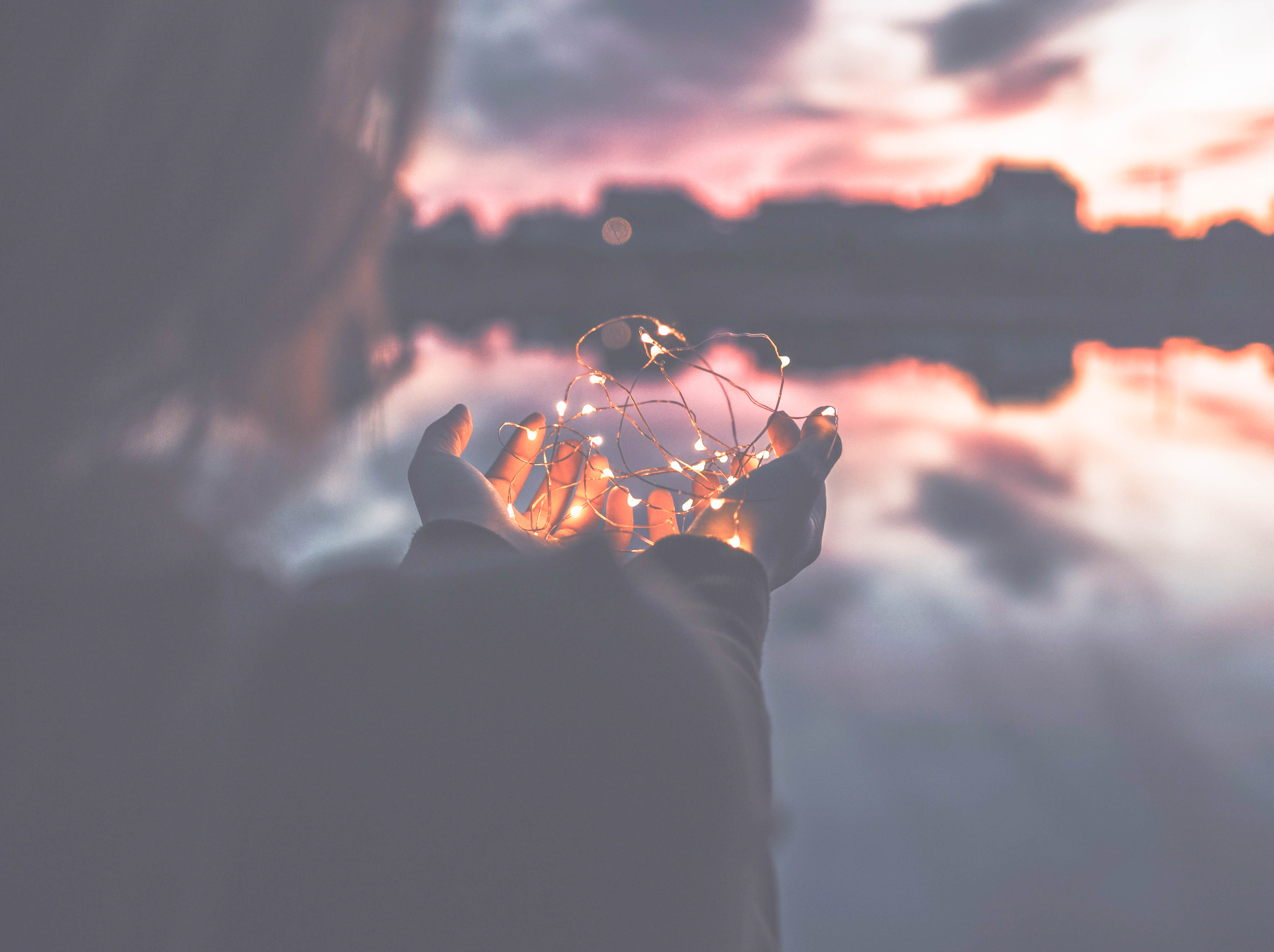 Photo by natalya letunova on unsplash 5