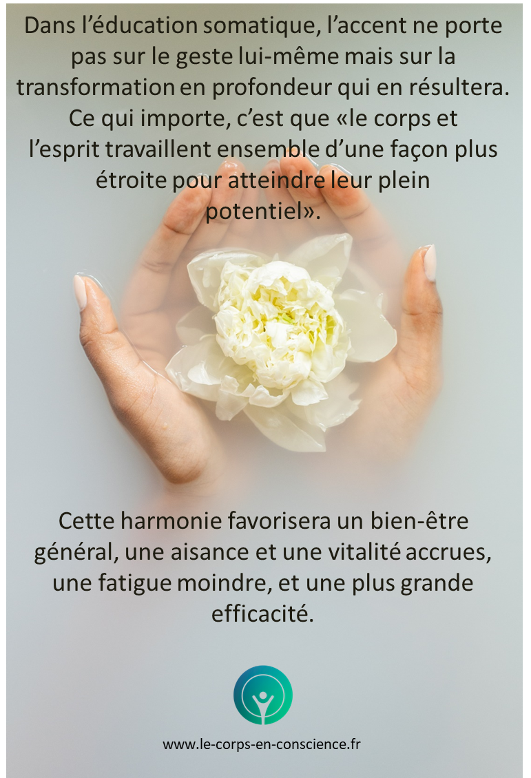 Harmonie en éducation somatique
