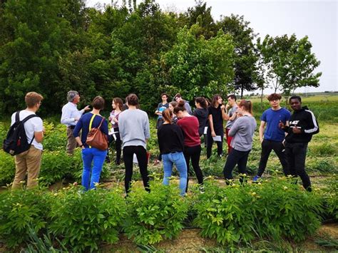 Visite de ferme de l'AMAP Autrement de Murat