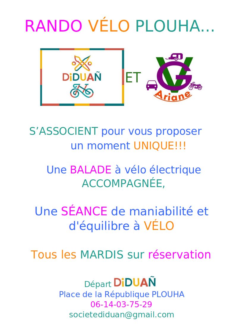 Affiche-velo