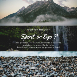 Spirit or Ego ?