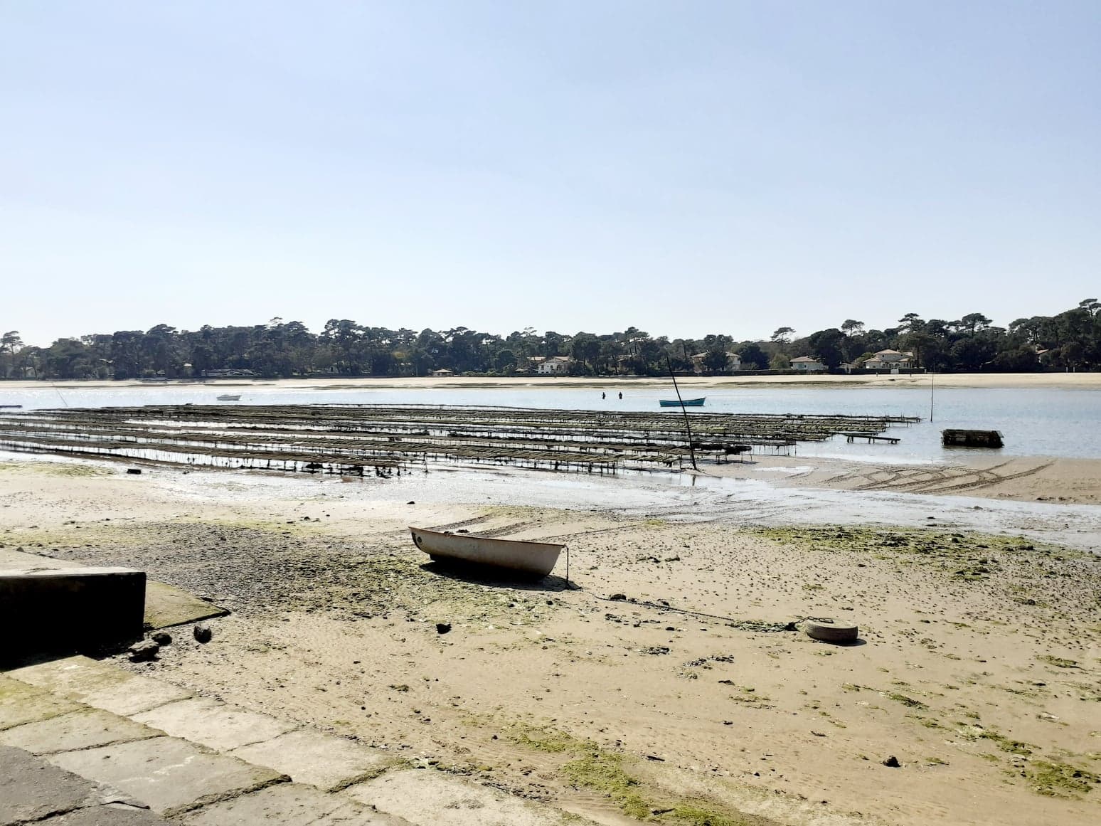 277933242 284189263902802 9087901196340137353 n