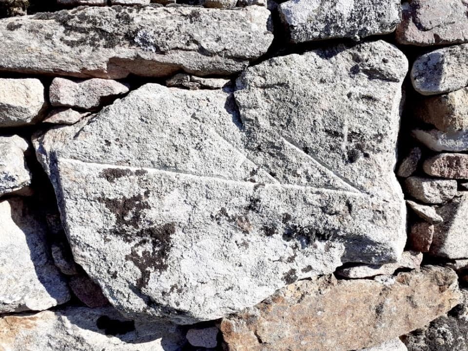 279366529 708968857190011 7022124325293387618 n