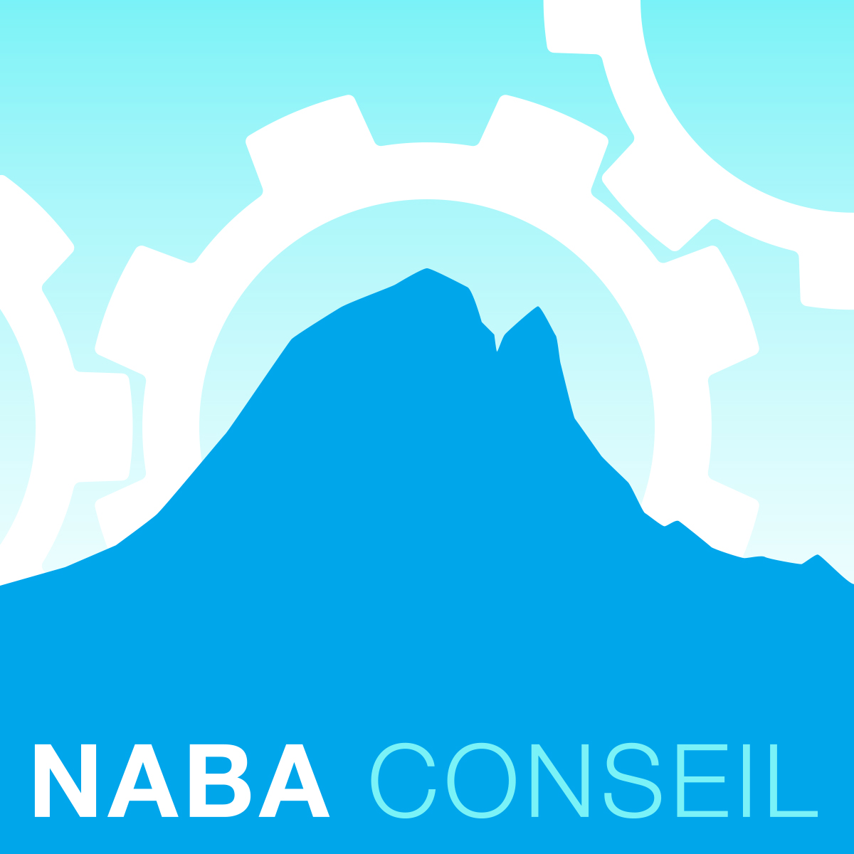 Logo naba conseil final couleur cmjn 20200702