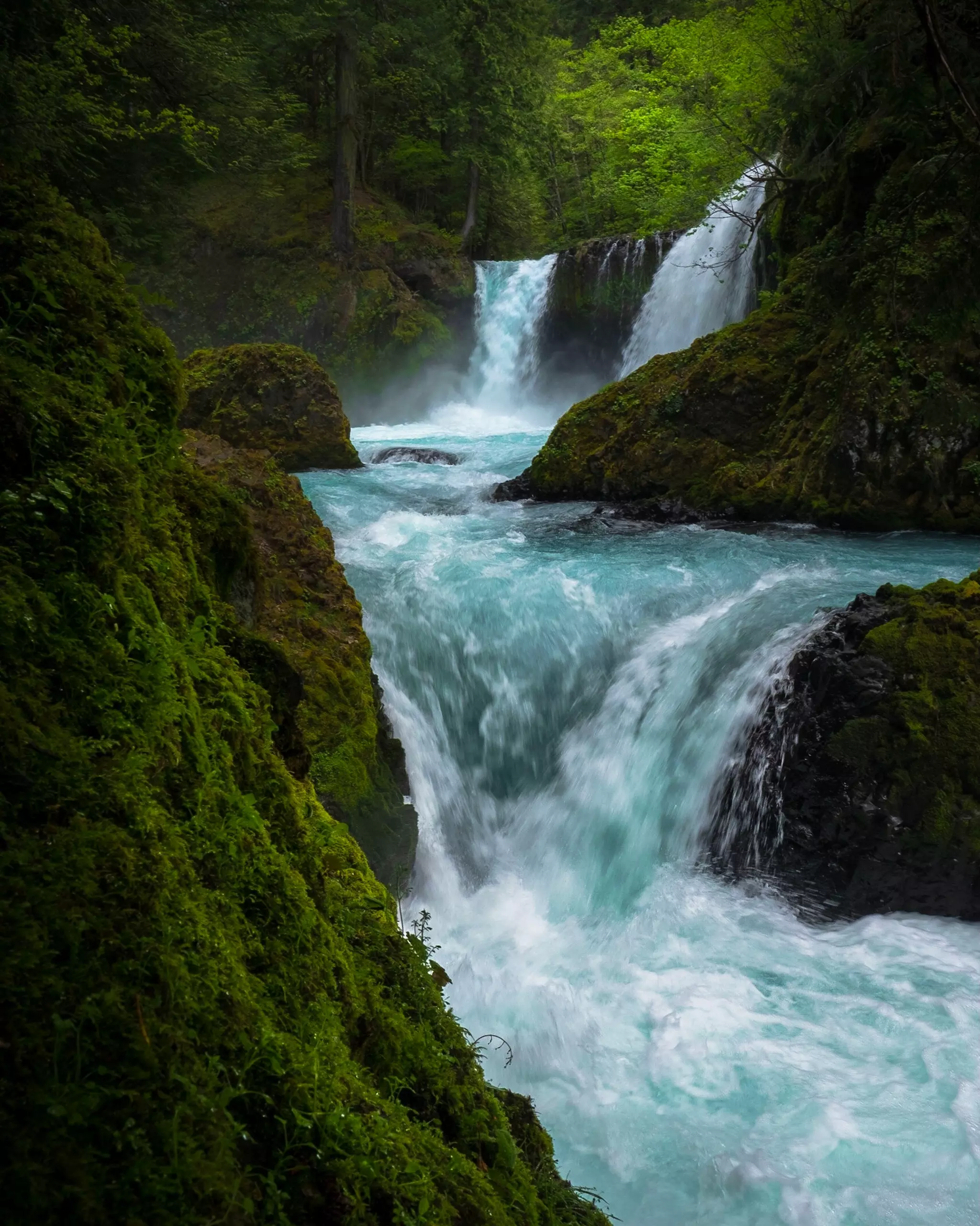 Géobiologie et cours d'eau