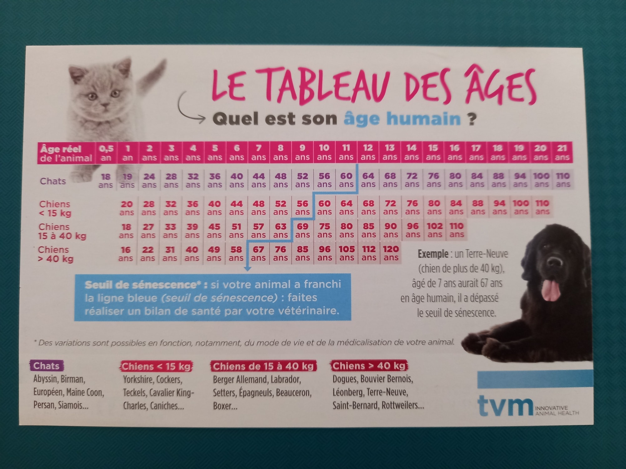 Age de nos chiens et chats