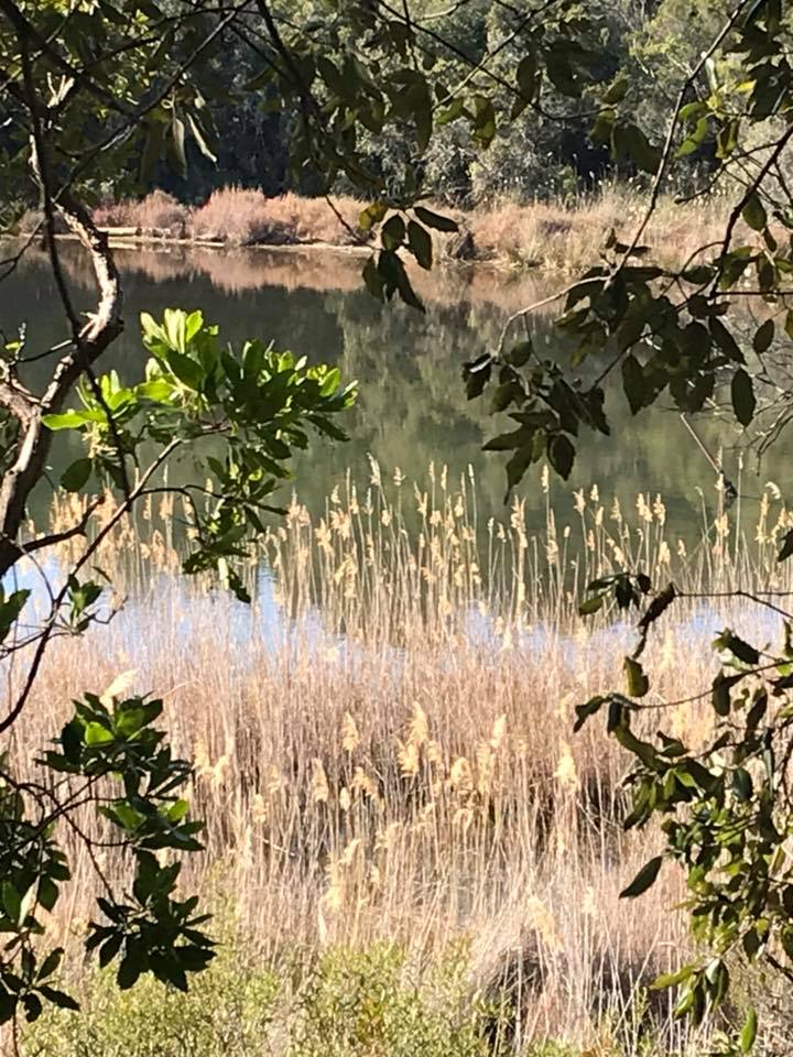 Etang 2