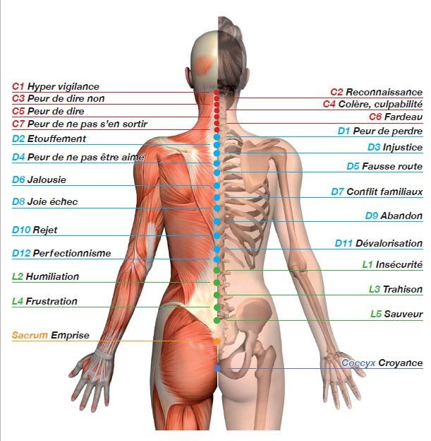 Massage sensitif et emotionnel gestion des douleurs et tensions a toulouse quartier des minimes