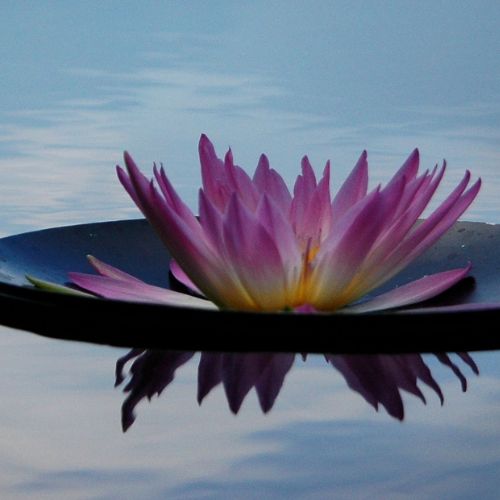 Serenite-du-Corps-de-l-Esprit-2-