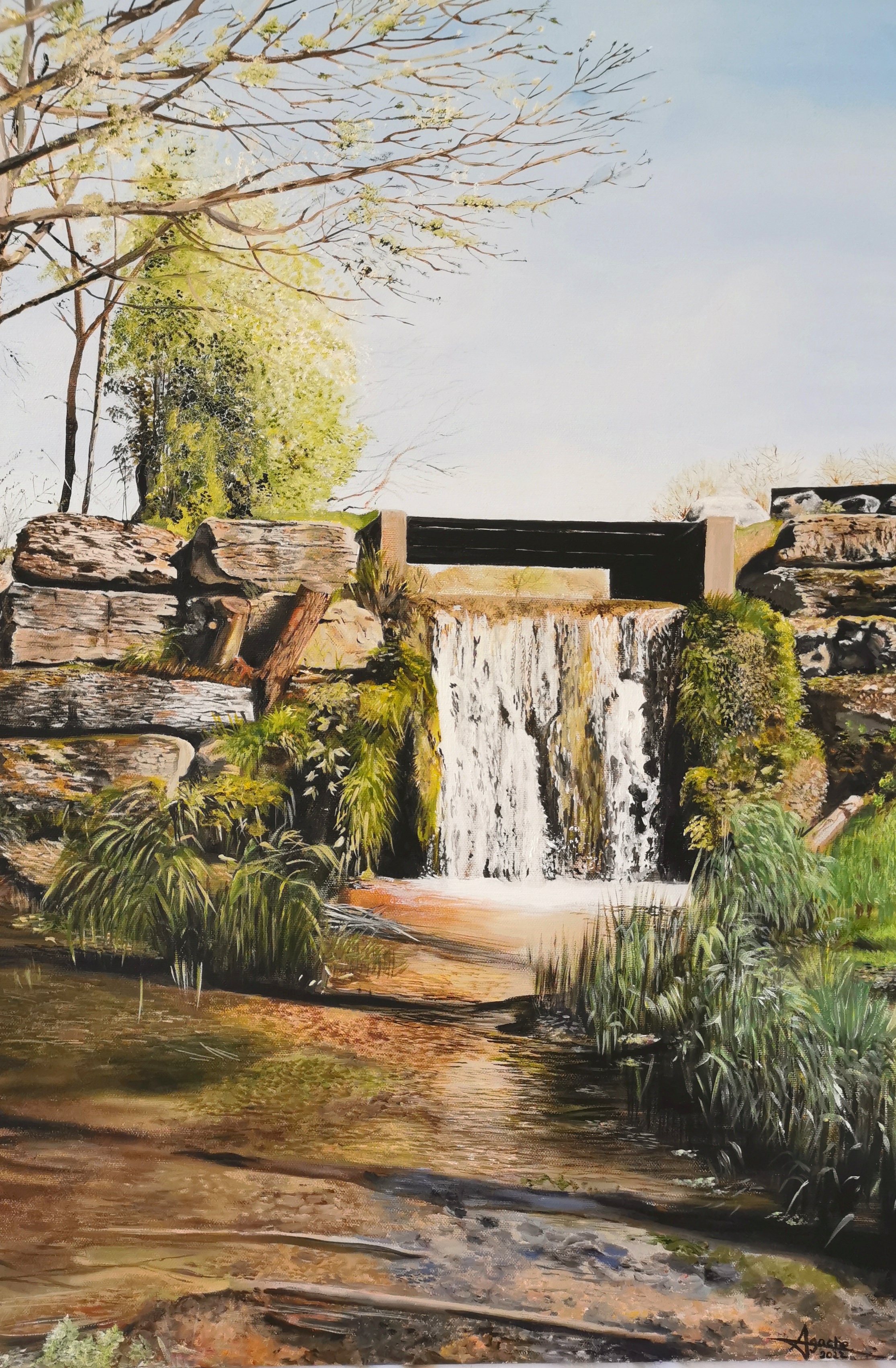 Cascade