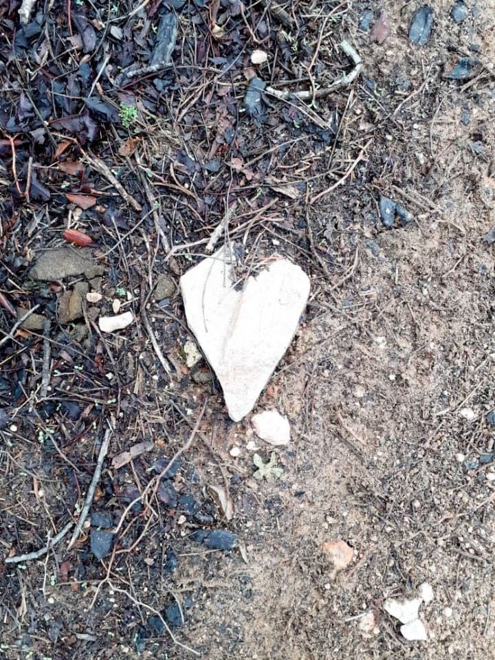 279520606 383788313672793 5408487263949223974 n