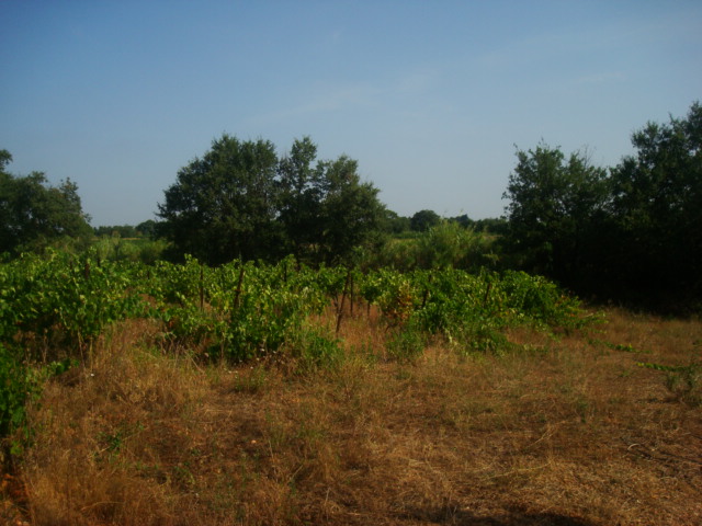Photos 2020 3138