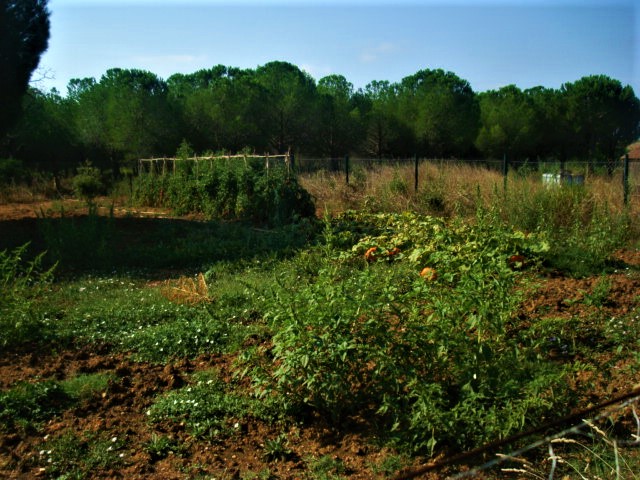 Photos 2020 3179