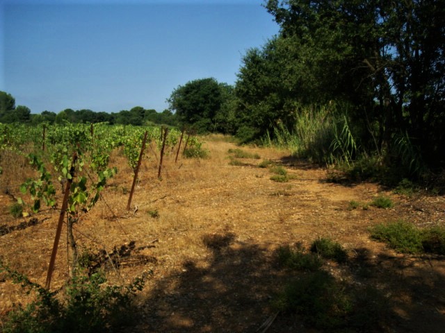 Photos 2020 3169