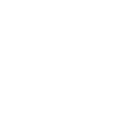 Logo pulzziorec-01
