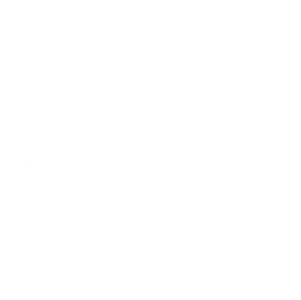 Logo pulzziorec-01