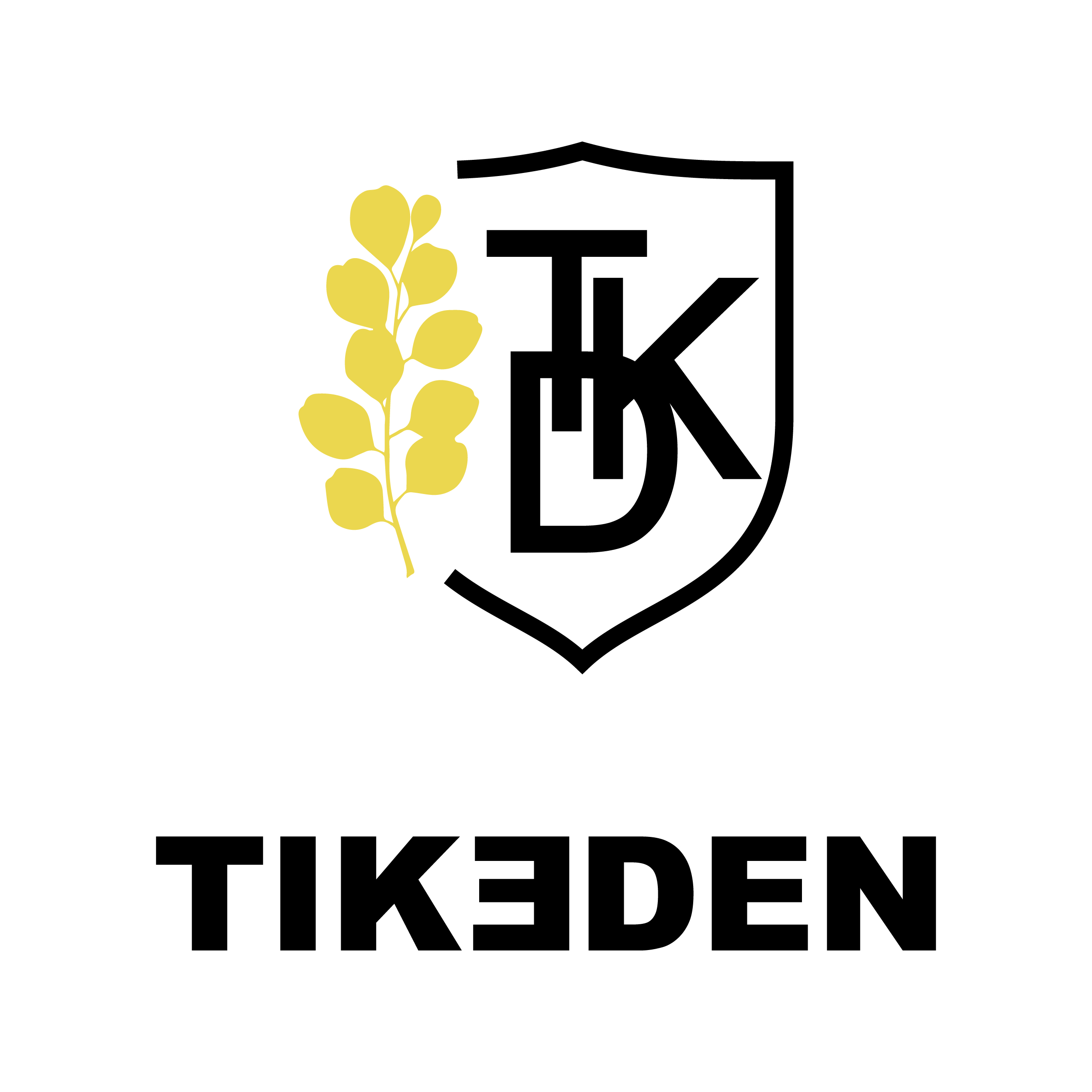Logo-tikeden