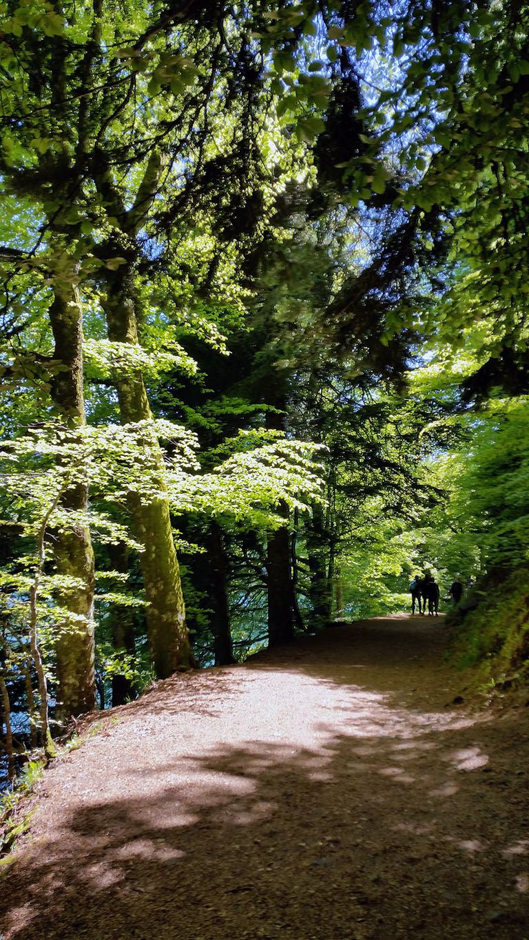 Rando autour du pavin