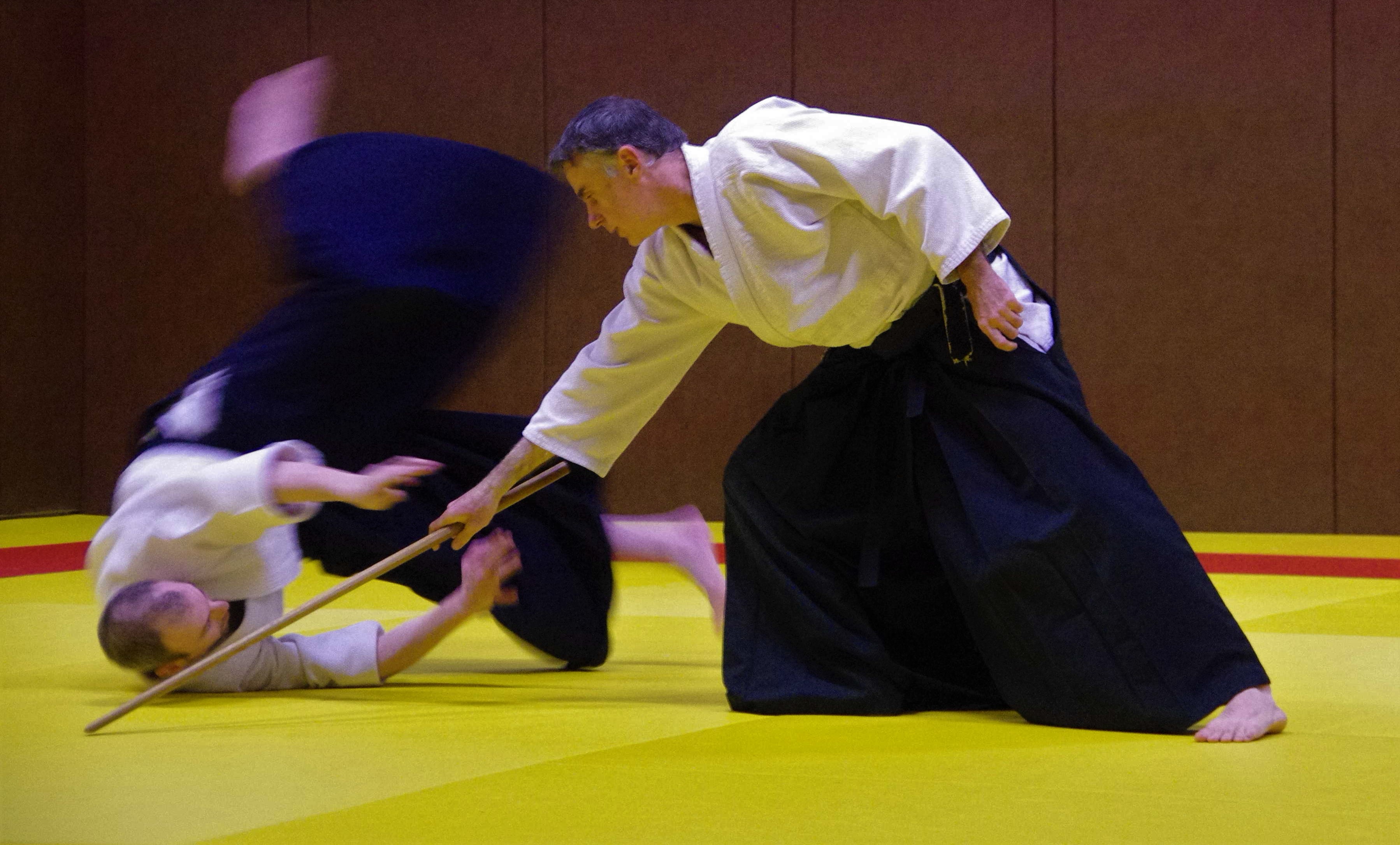 Aikido 1