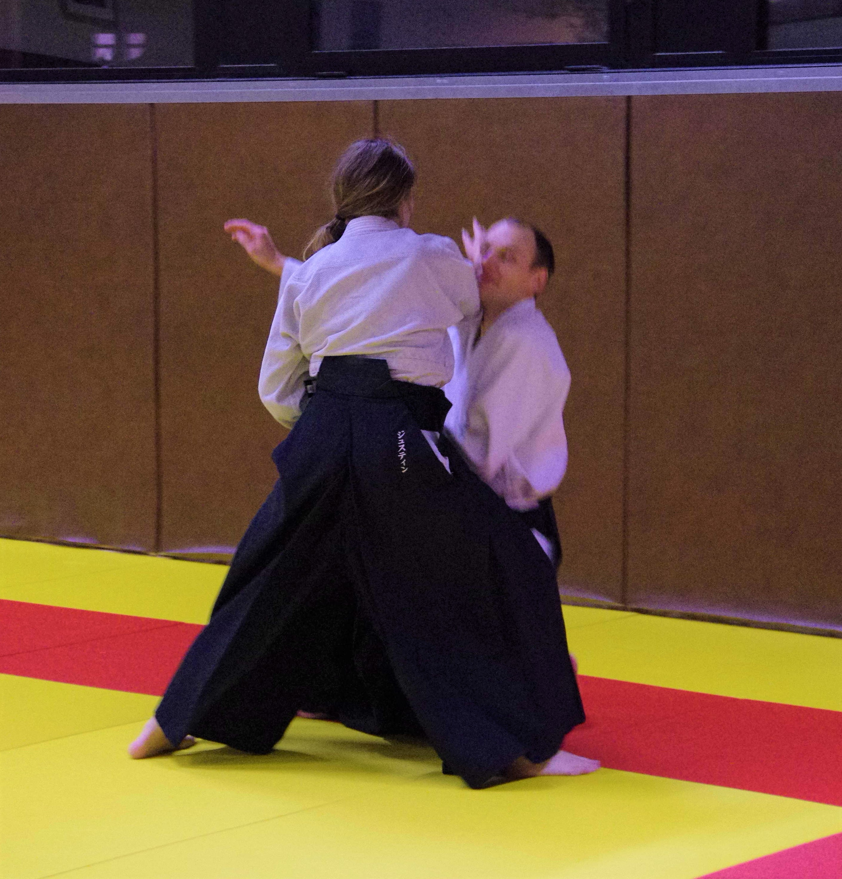 Aikido 3