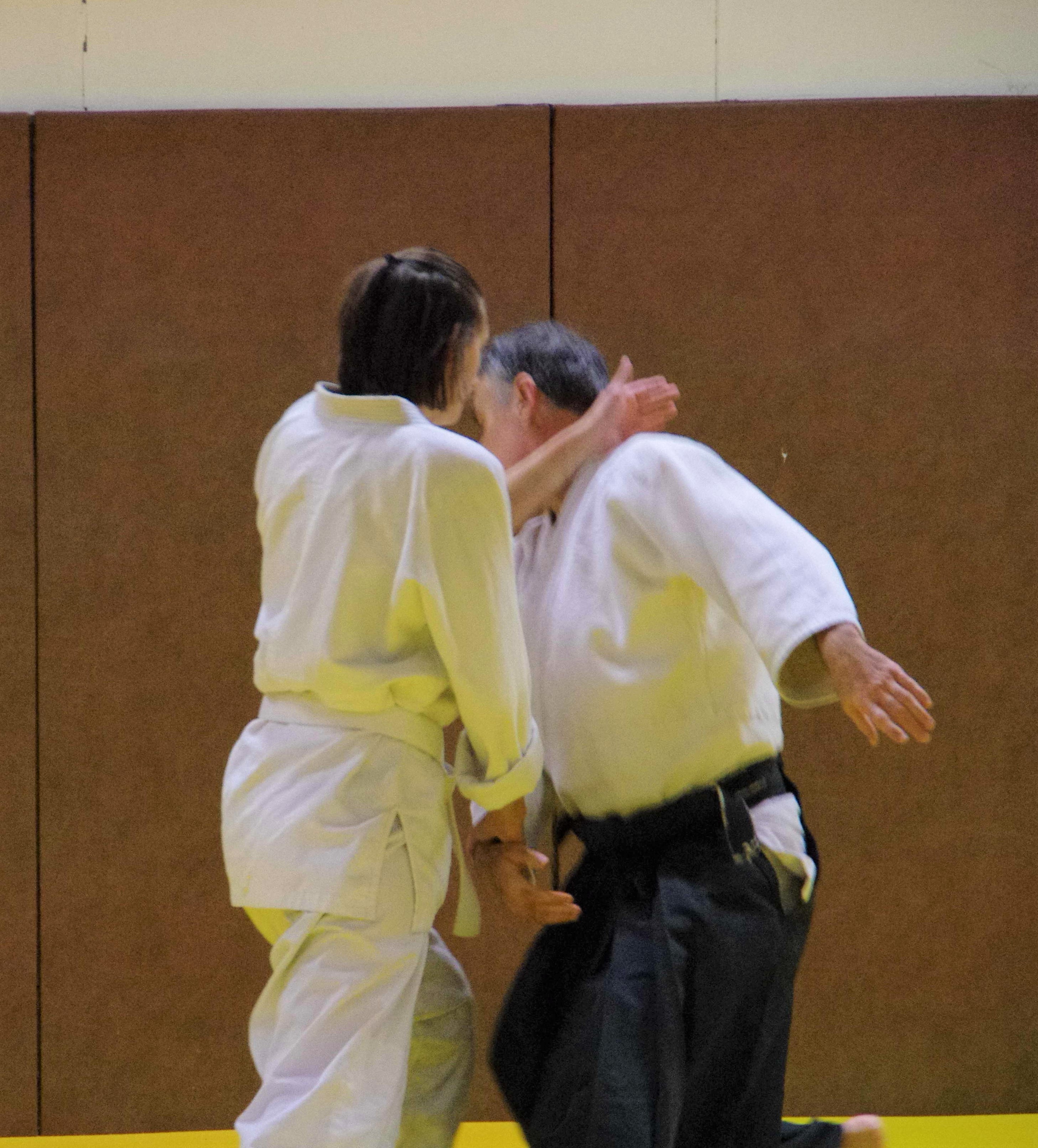 Aikido 4