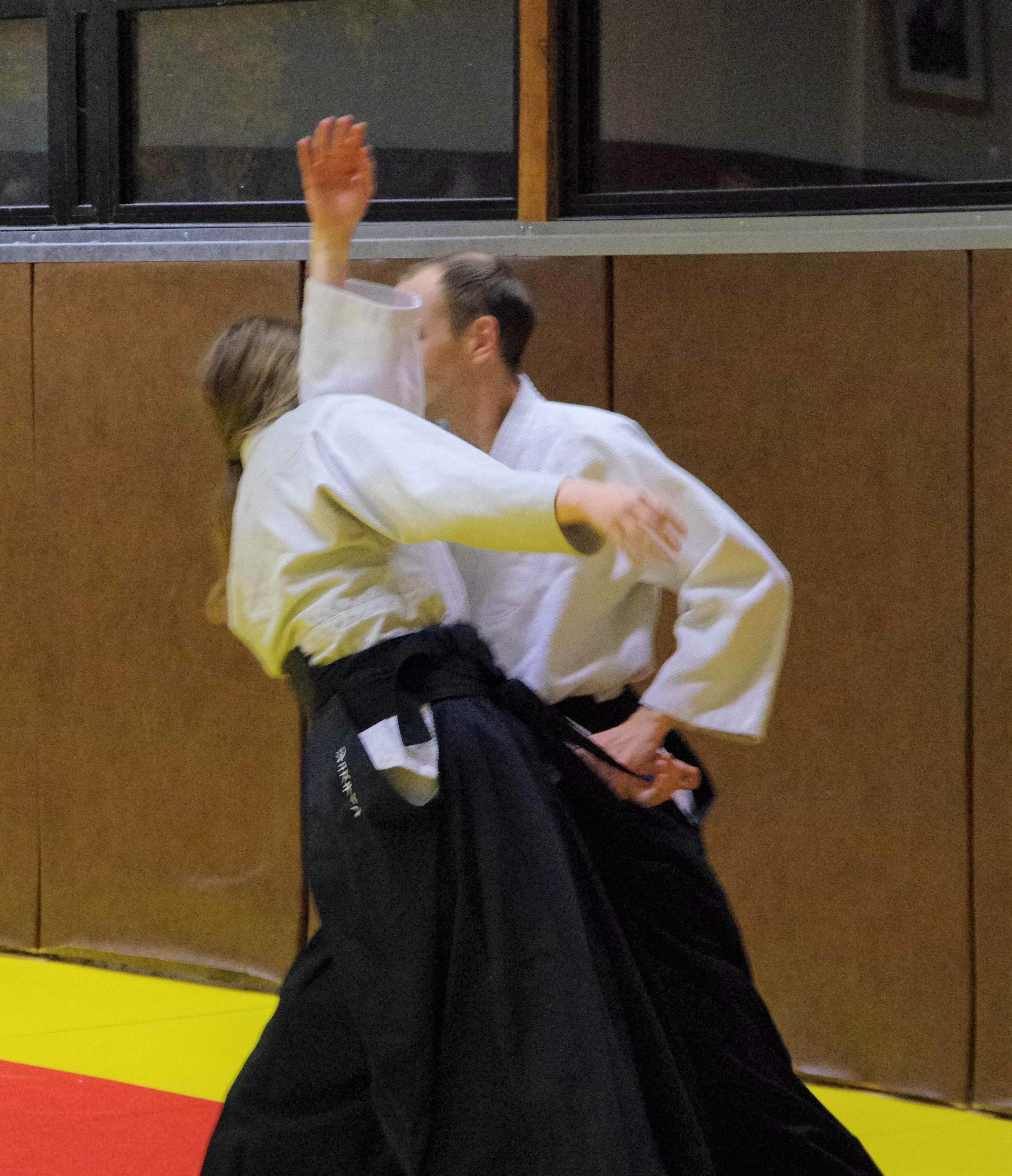 Aikido 5