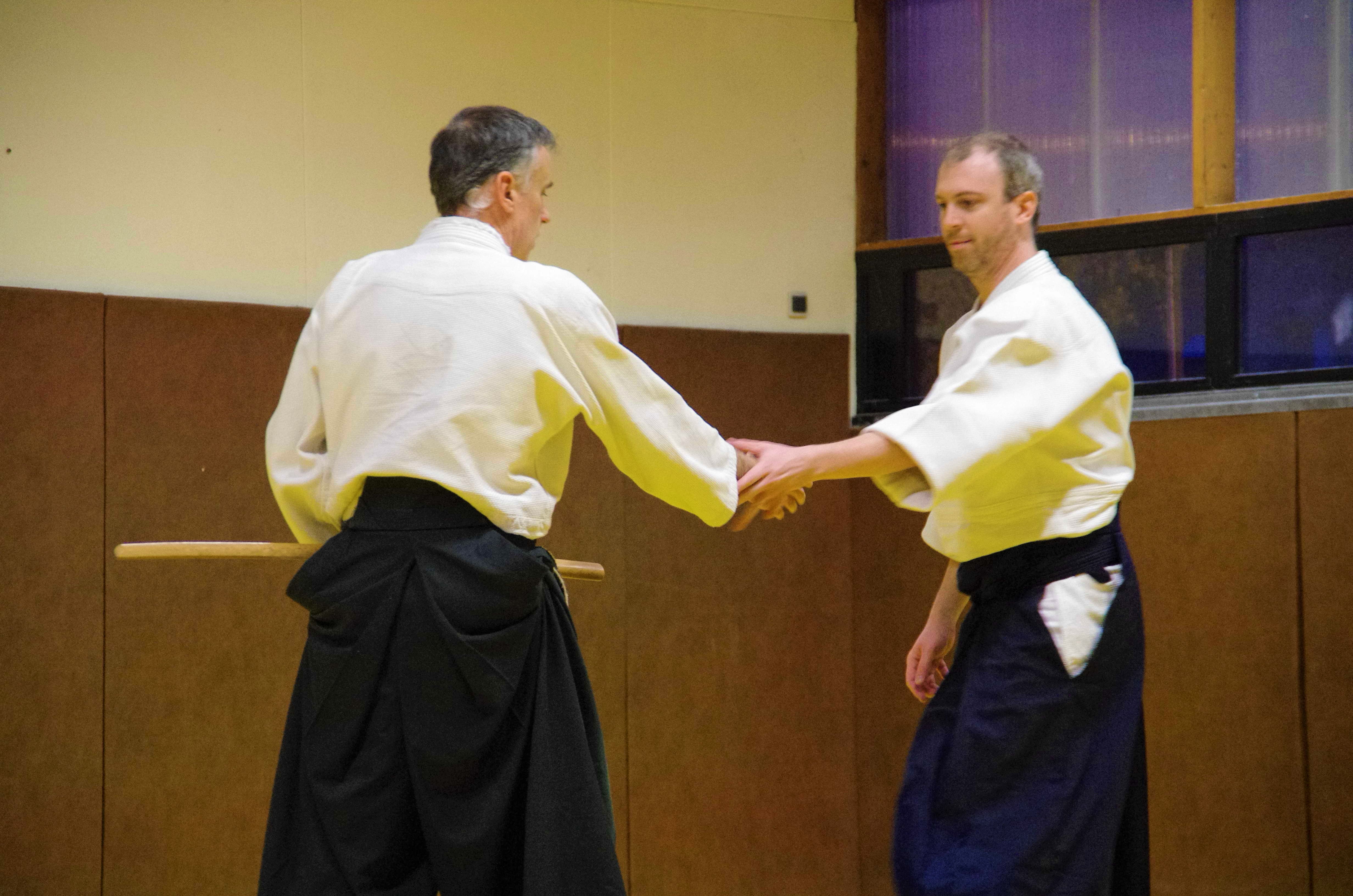 Aikido 6