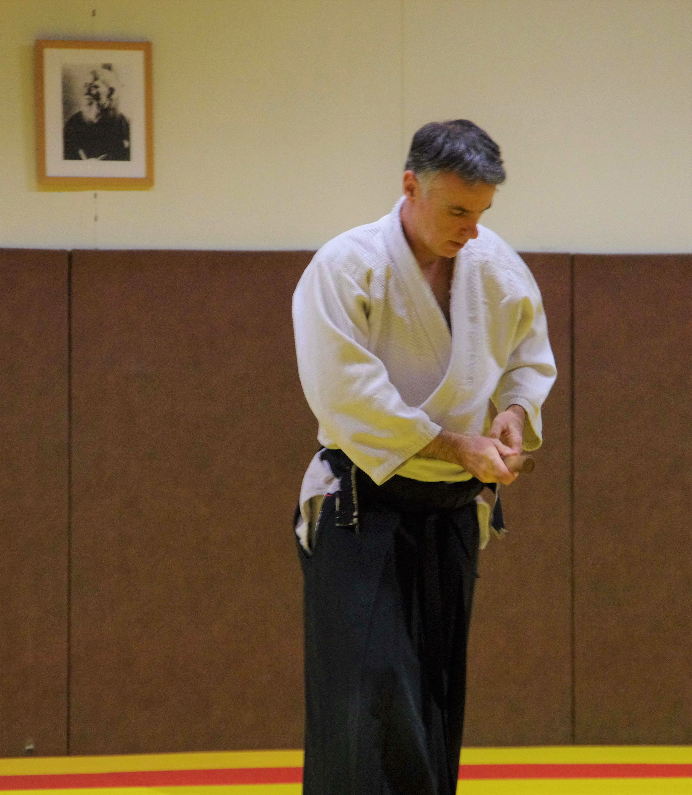 Aikido 7