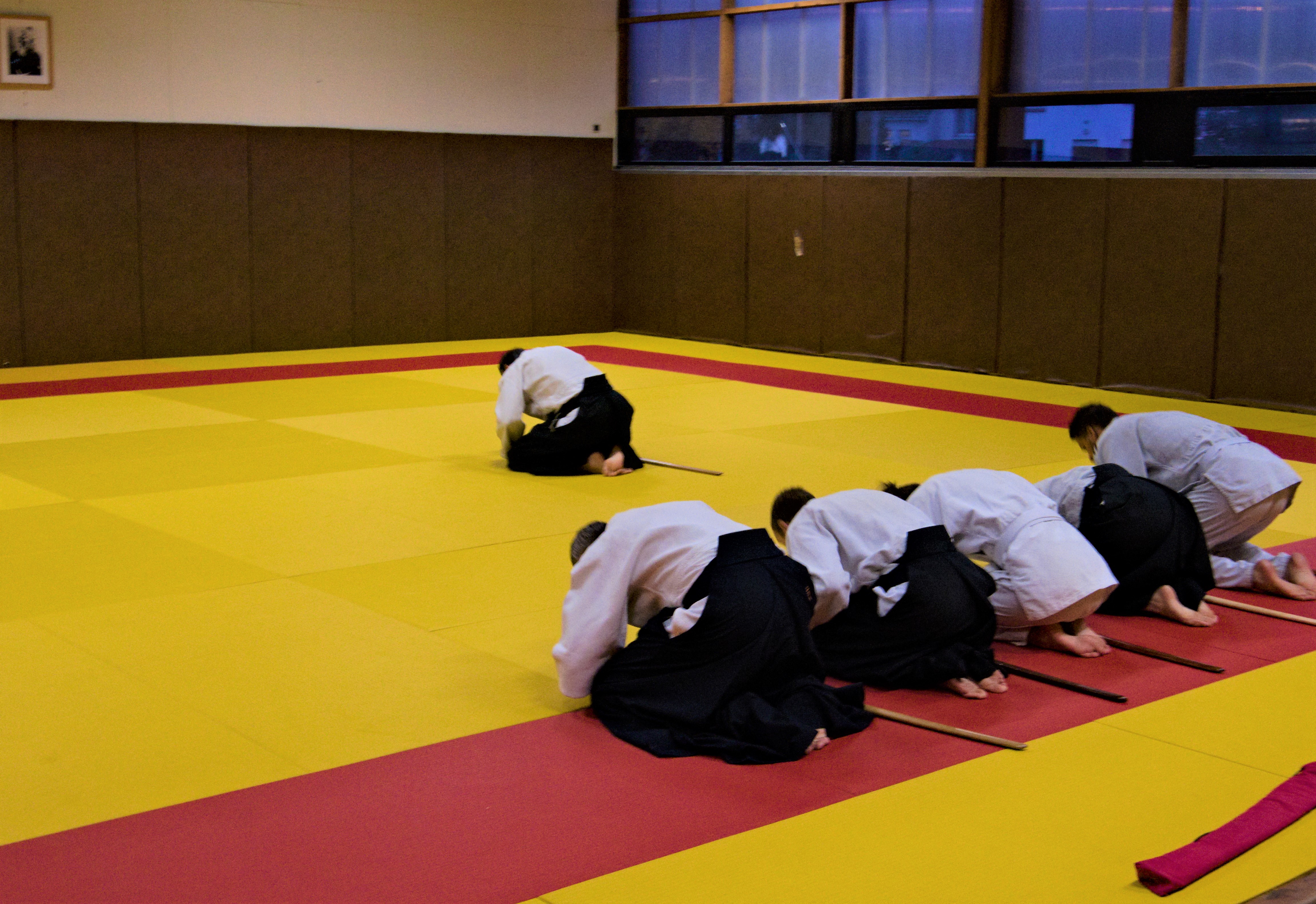 Aikido 8