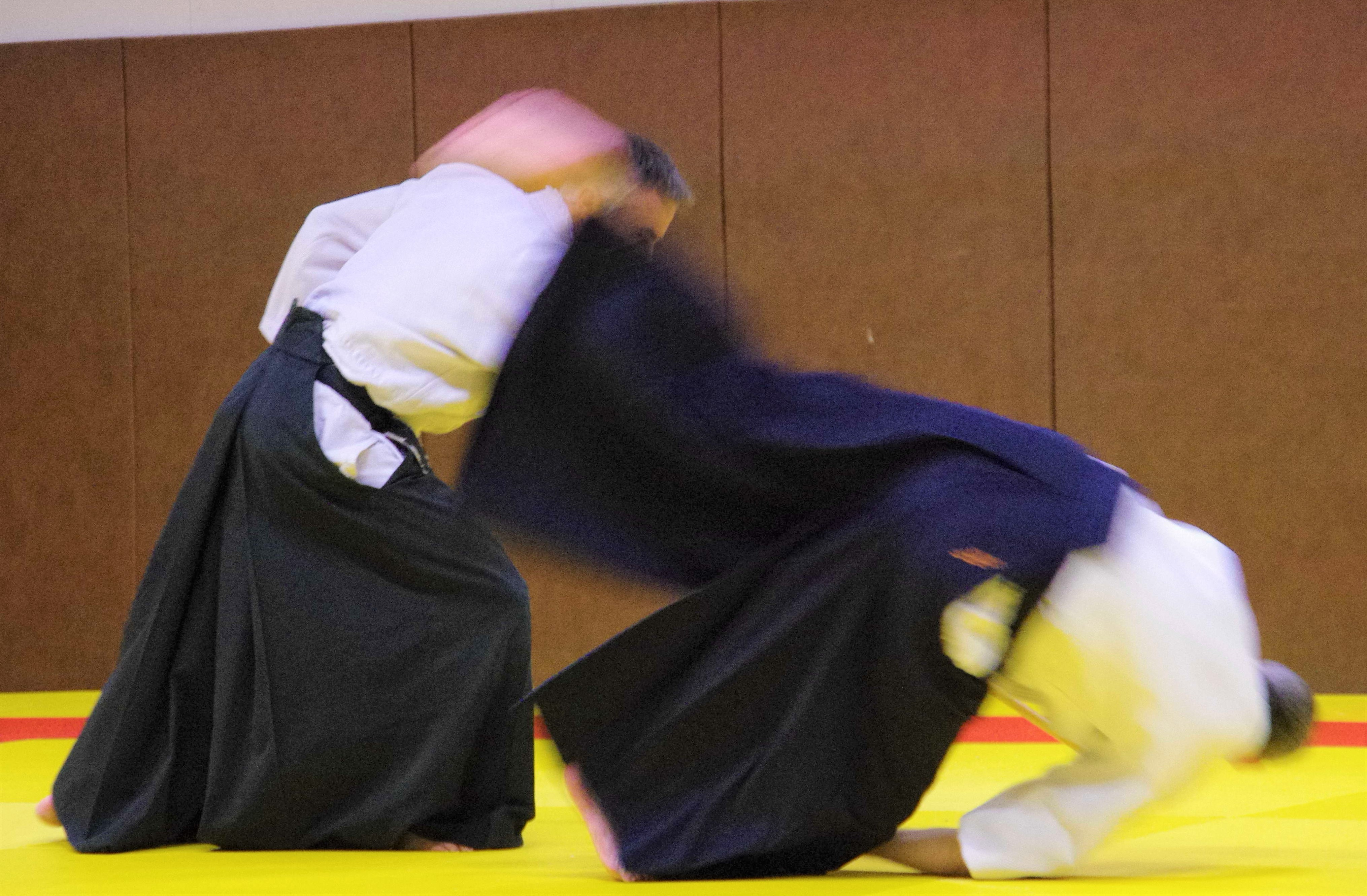 Aikido 10