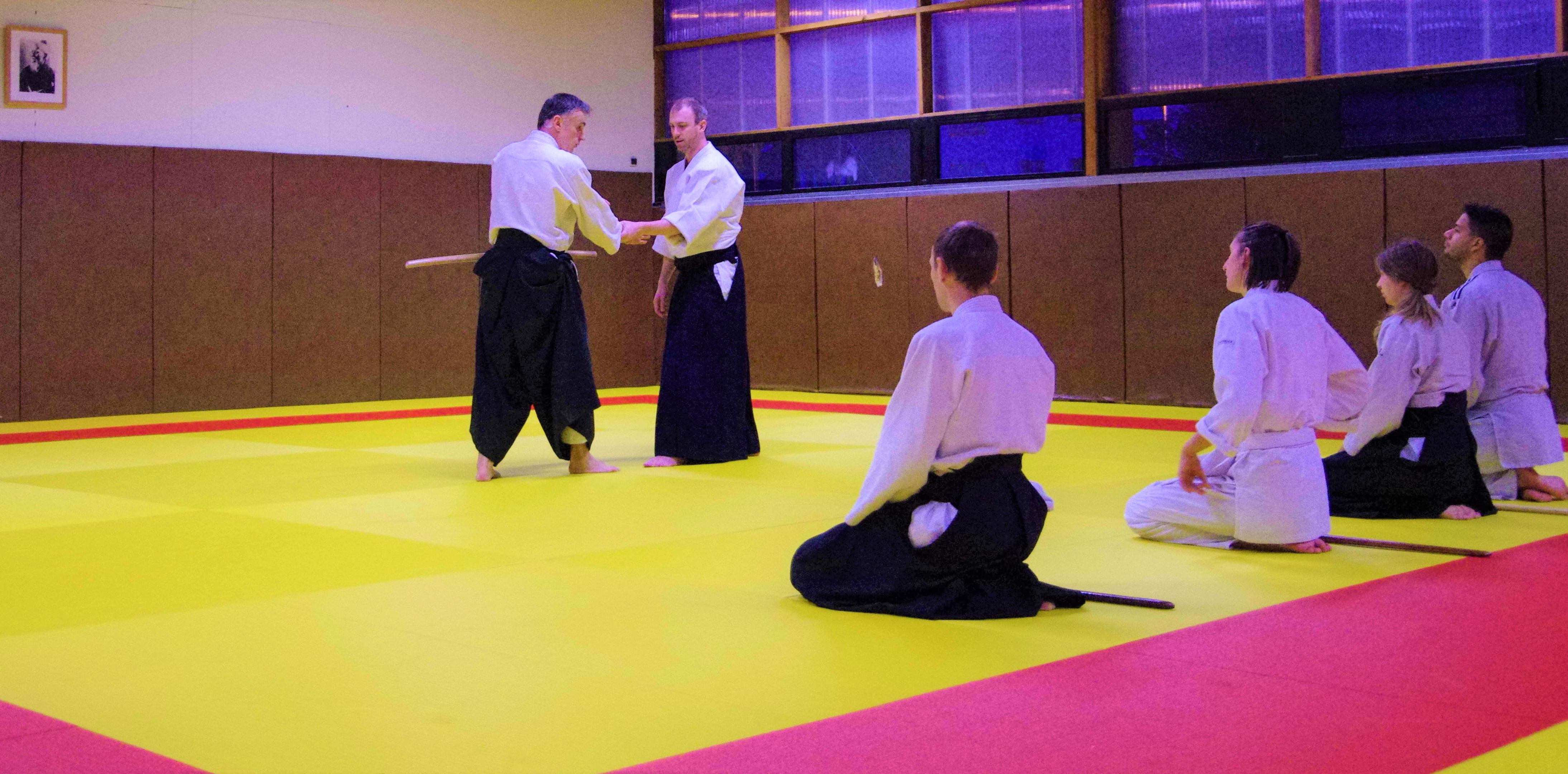 Aikido 11