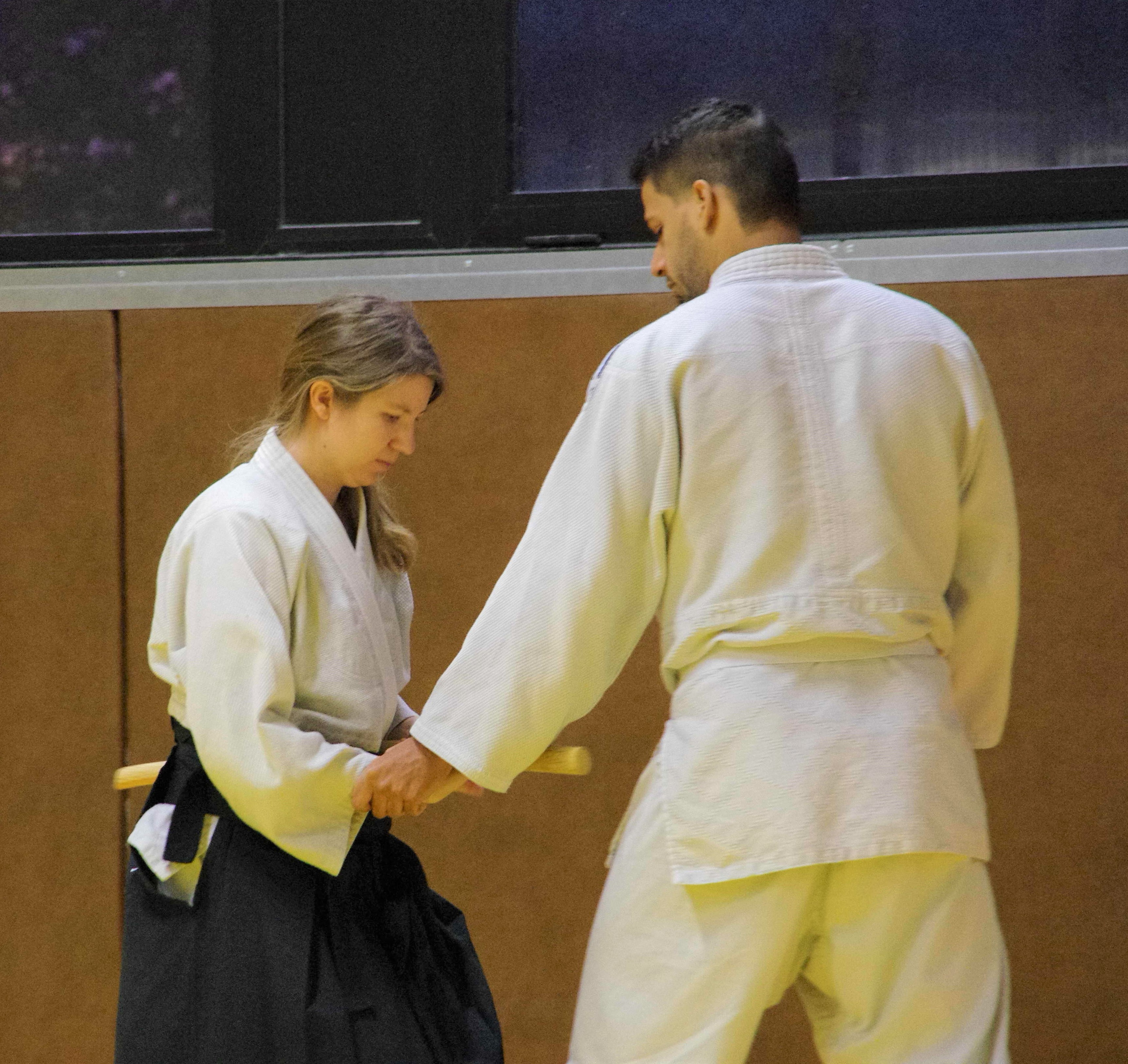 Aikido 14